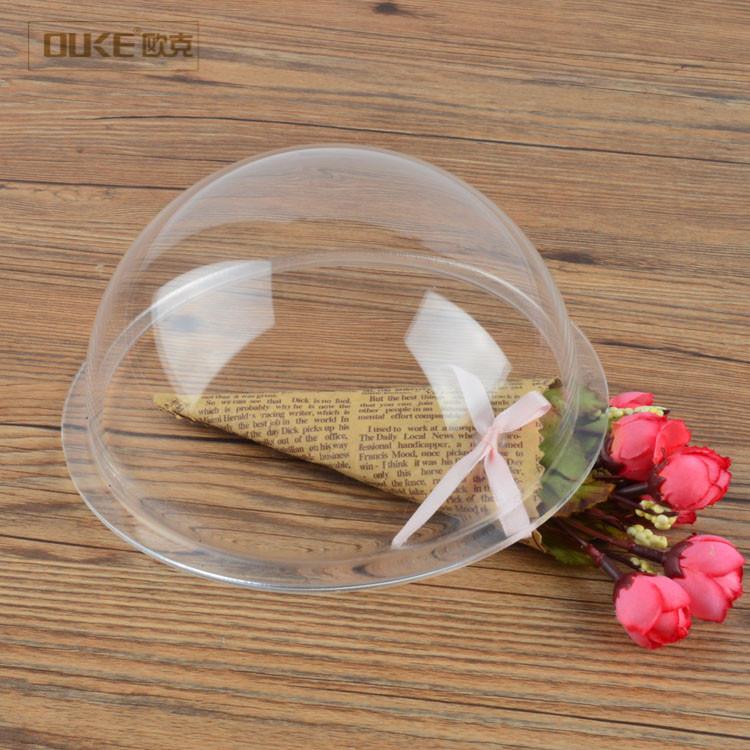 acrylic dome 2.jpg